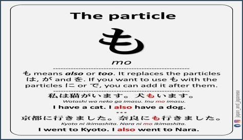 Discover The Meaning Of 